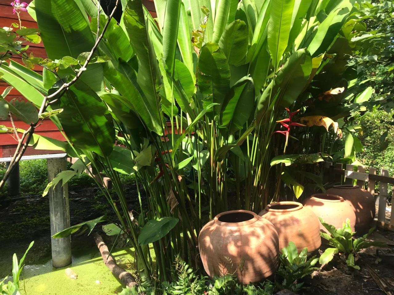 88 Homestay Bang Chak Exterior photo